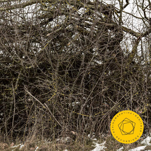 国产我和亲妺作爱69免费观看
